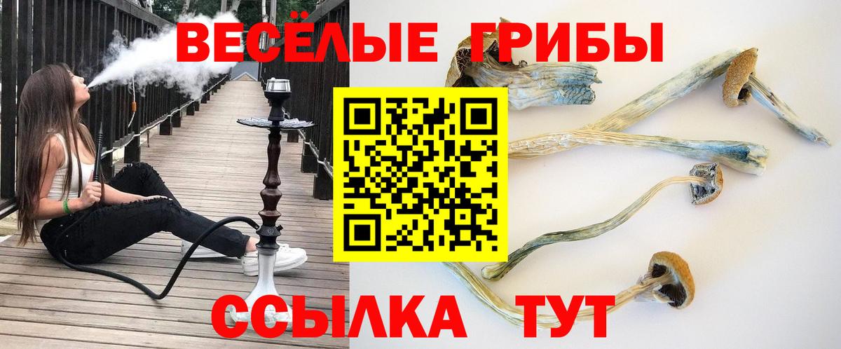 Луховицы  Псилоцибиновые грибы MAGIC MUSHROOMS  где найти наркотики  Вход с VPN 