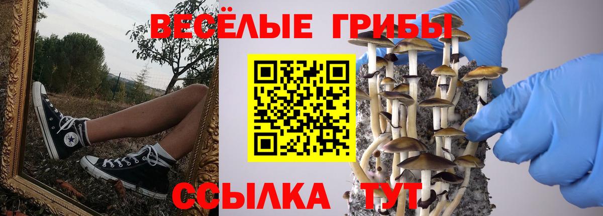 Гашиш Луховицы